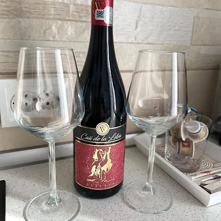 Apartament Old Town - Victoriei 1