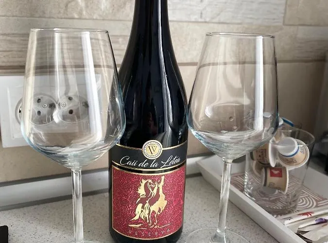 Appartamento Old Town - Victoriei 1